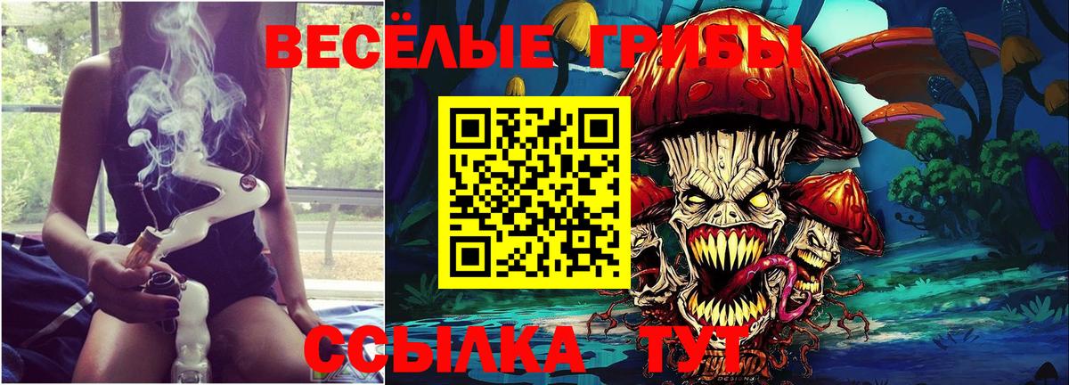 Асбест  Псилоцибиновые грибы Psilocybe  Галлюциногенные грибы прущие грибы  Вход с VPN 